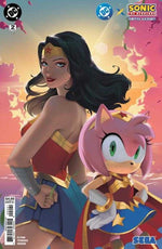 DC X Sonic The Hedgehog The Metal Legion