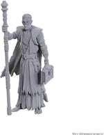 Dungeons & Dragons: Nolzur's Marvelous Unpainted Miniatures - Special Edition Baldur's Gate 3, Volo & Withers