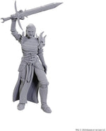 Dungeons & Dragons: Nolzur's Marvelous Unpainted Miniatures - W25 Blackguard