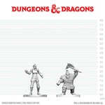 Dungeons & Dragons Nolzur's Marvelous Unpainted Miniatures: Cultist of Bane & Dwarf Zhentilar Soldier