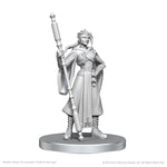 Critical Role Unpainted Miniatures: W26 Beauregard Lionett & Caleb Widogast