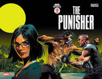 Marvel Knights: Punisher