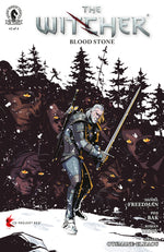 The Witcher: Blood Stone