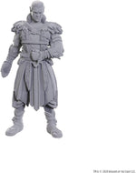 Dungeons & Dragons: Nolzur's Marvelous Unpainted Miniatures - Special Edition Baldur's Gate 3, Jaheira & Halsin