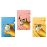 Pokemon TCG: 3-pack Tournament Folio (Series 2)