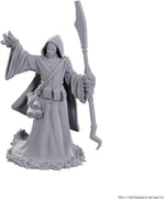 Dungeons & Dragons: Nolzur's Marvelous Unpainted Miniatures - W25 Star Spawn Larva Mage