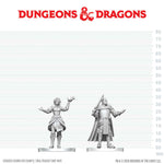 Dungeons & Dragons Nolzur's Marvelous Unpainted Miniatures: Knight & Mage Apprentice