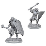 Dungeons & Dragons Nolzur`s Marvelous Unpainted Miniatures: W18 Dragonborn Clerics