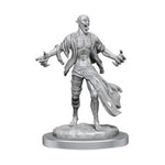 Dungeons & Dragons Nolzur`s Marvelous Unpainted Miniatures: W19 Nosferatu