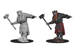 Dungeons & Dragons Nolzur`s Marvelous Miniatures: W7 Fire Giant