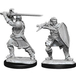Dungeons & Dragons Nolzur`s Marvelous Unpainted Miniatures: W14 Human Paladin Male