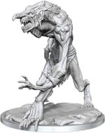 Dungeons & Dragons Frameworks: W02A Troll