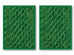 Legion Matte Sleeves: Dragon Hide 50 Ct - Green
