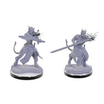 Dungeons & Dragons Nolzur's Marvelous Unpainted Miniatures: W22 Tiefling Warlocks