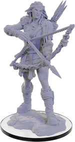 Pathfinder Deep Cuts Unpainted Miniatures: W22 Wood Giant