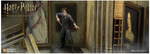 Harry Potter Miniature Game: Neville Longbottom (Order of the Phoenix)