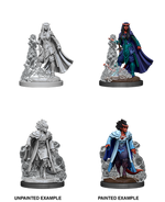 Dungeons & Dragons Nolzur`s Marvelous Unpainted Miniatures: W12 Female Tiefling Sorcerer