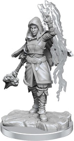 Dungeons & Dragons Nolzur`s Marvelous Unpainted Miniatures: W20 Half-Elf Warlock