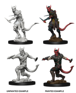 Dungeons & Dragons Nolzur`s Marvelous Unpainted Miniatures: Tiefling Male Rogue