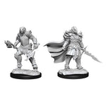 Dungeons & Dragons Nolzur`s Marvelous Unpainted Miniatures: W15 Dragonborn Fighter Female