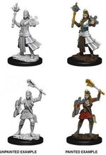 Dungeons & Dragons Nolzur`s Marvelous Unpainted Miniatures: W8 Female Human Cleric