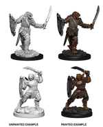 Dungeons & Dragons Nolzur`s Marvelous Unpainted Miniatures: Dragonborn Female Paladin