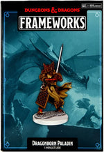 Dungeons & Dragons Frameworks: W01 Dragonborn Paladin Male