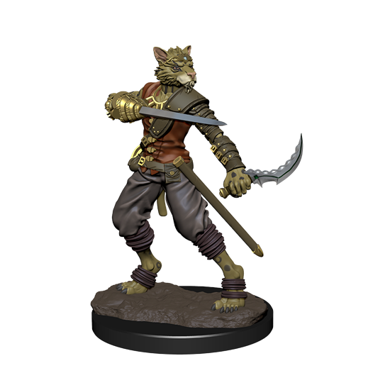 Dungeons & Dragons Fantasy Miniatures: Icons of the Realms Premium Figures W6 Tabaxi Rogue Male