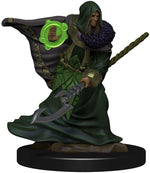 Dungeons & Dragons: Icons of the Realms Premium Figures W05 Elf Druid Male