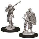 Dungeons & Dragons Nolzur`s Marvelous Unpainted Miniatures: W9 Female Human Fighter