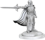 Dungeons & Dragons Nolzur`s Marvelous Unpainted Miniatures: W20 Death Knights