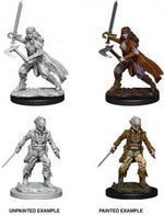 Dungeons & Dragons Nolzur`s Marvelous Unpainted Miniatures: W8 Vampire Hunters