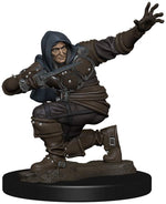 Pathfinder Battles: Premium Painted Figure - W1 Human Rogue Male
