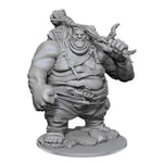 Dungeons & Dragons Nolzur`s Marvelous Unpainted Miniatures: W17 Hill Giant