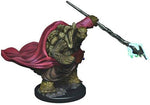 Dungeons & Dragons Fantasy Miniatures: Icons of the Realms Premium Figures W3 Tortle Male Monk