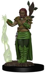 Dungeons & Dragons Icons of the Realms Premium Figures: W2 Human Female Druid