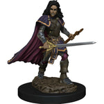 Pathfinder Battles: Premium Painted Figure - W2 Human Bard Female