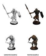 Dungeons & Dragons Nolzur`s Marvelous Unpainted Miniatures: W12 Gnoll & Gnoll Flesh Gnawer