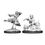 Dungeons & Dragons Nolzur`s Marvelous Unpainted Miniatures: W11 Female Human Monk