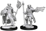 Dungeons & Dragons Nolzur`s Marvelous Unpainted Miniatures: W13 Multiclass Cleric + Wizard Male