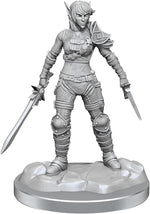 Dungeons & Dragons Nolzur`s Marvelous Unpainted Miniatures: W19 Elf Rogue & Half-Elf Rogue Protg