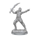 Dungeons & Dragons Nolzur`s Marvelous Unpainted Miniatures: W17 Githyanki