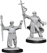 Dungeons & Dragons Nolzur`s Marvelous Unpainted Miniatures: W13 Human Wizard Male