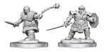 Dungeons & Dragons Nolzur`s Marvelous Unpainted Miniatures: W16 Dwarf Fighter Female