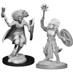 Dungeons & Dragons Nolzur`s Marvelous Unpainted Miniatures: W14 Changeling Cleric Male