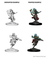 Dungeons & Dragons Nolzur`s Marvelous Unpainted Miniatures: Air Genasi Female Rogue