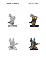 Dungeons & Dragons Nolzur`s Marvelous Unpainted Miniatures: Dwarf Male Paladin