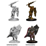 Dungeons & Dragons Nolzur`s Marvelous Unpainted Miniatures: Death Knight & Helmed Horror