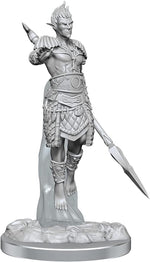 Dungeons & Dragons Nolzur`s Marvelous Unpainted Miniatures: W20 Sea Elf Fighters