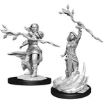 Dungeons & Dragons Nolzur`s Marvelous Unpainted Miniatures: W14 Human Druid Female